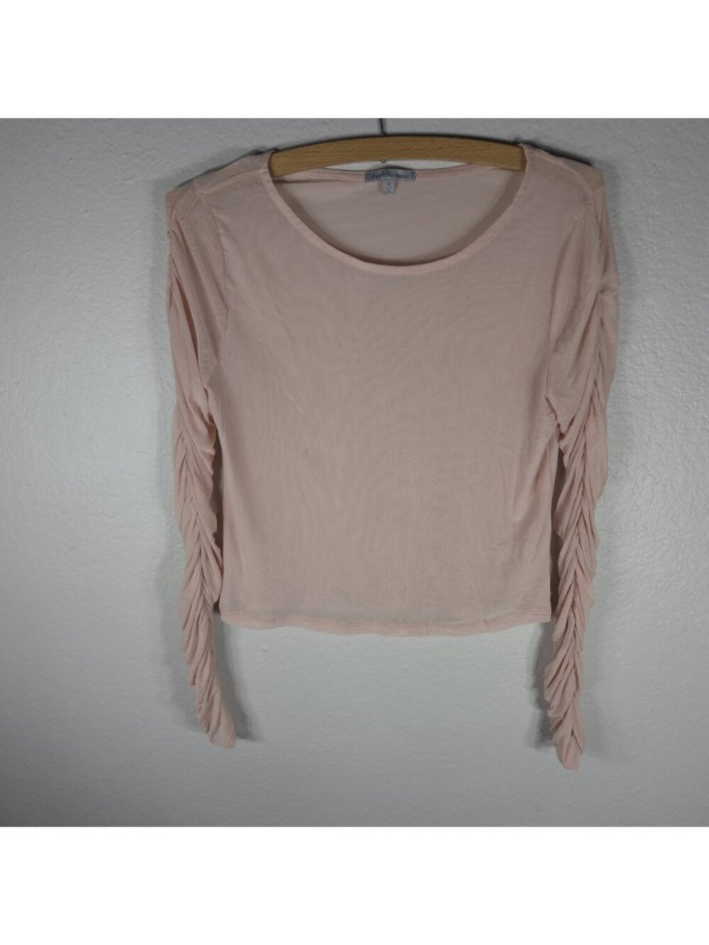 Charlotte Russe Ruched Top Sheer Size M Light Pink Long Sleeve Crop Round Neck
